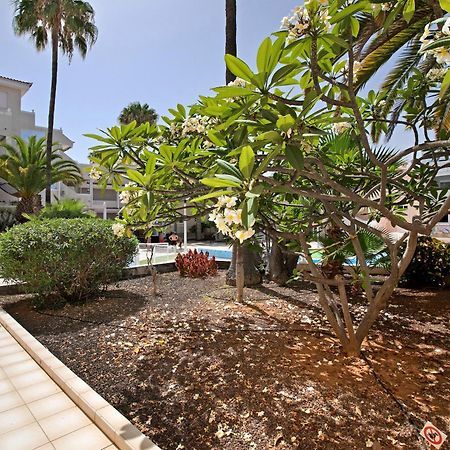 Apartamento Breeze Island Chayofa Exterior foto