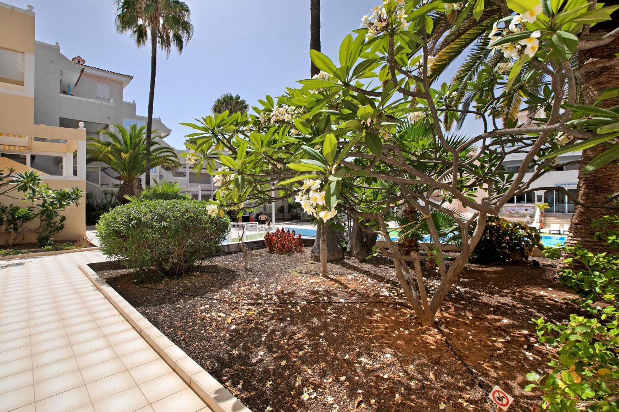 Apartamento Breeze Island Chayofa Exterior foto